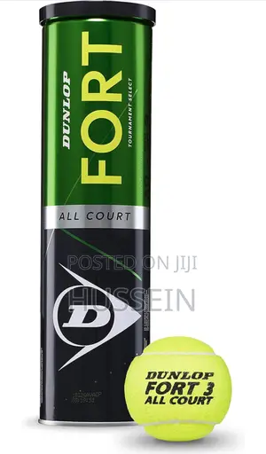 Photo - DUNLOP Tennis Ball Fort All Court TS
