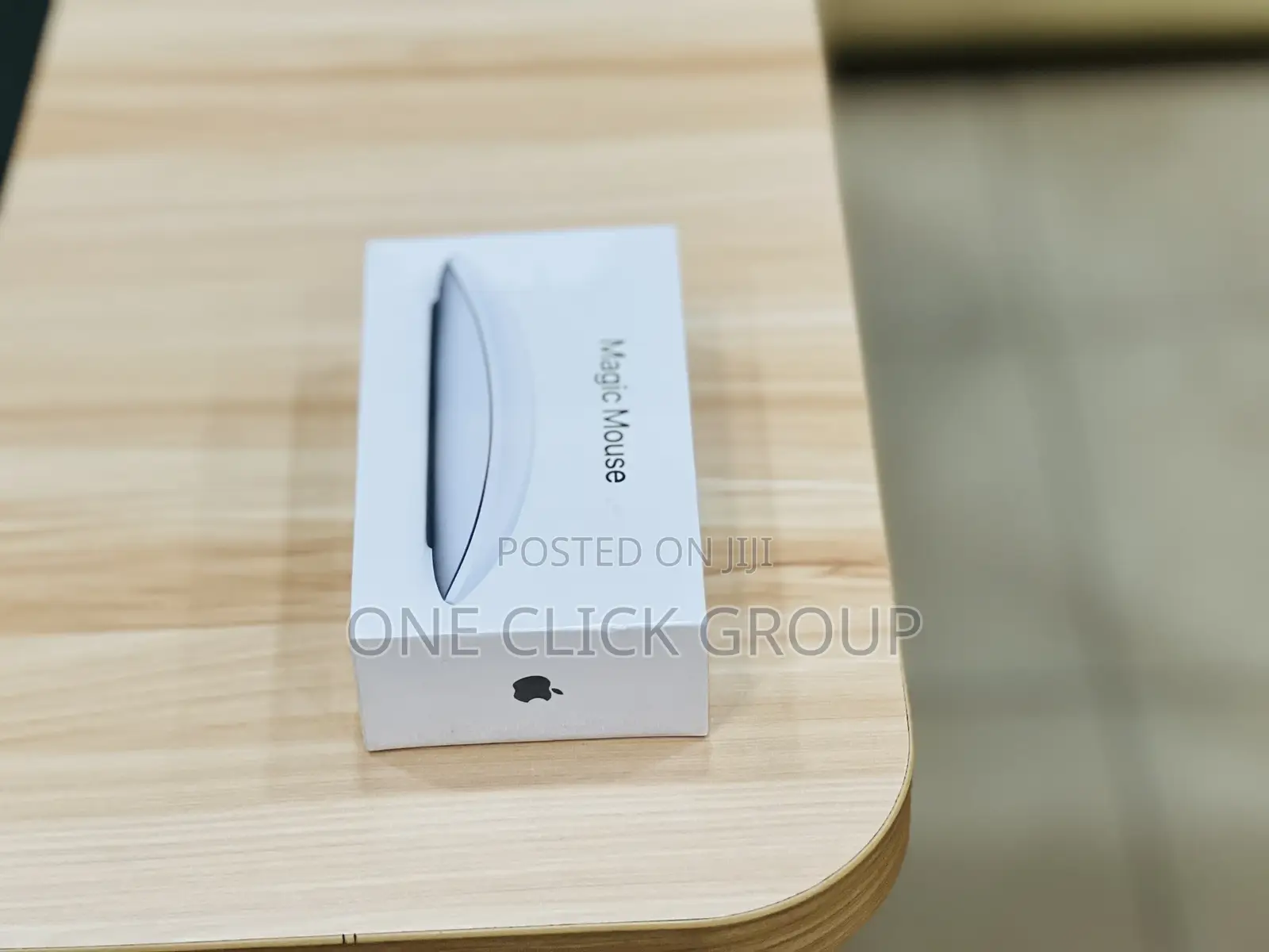 Magic Mouse 2