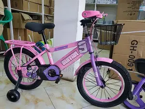 Classic Girls Bicycle With a Carrier