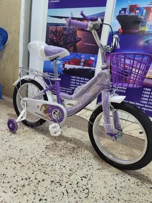 Classic Girls Bicycle With a Carrier