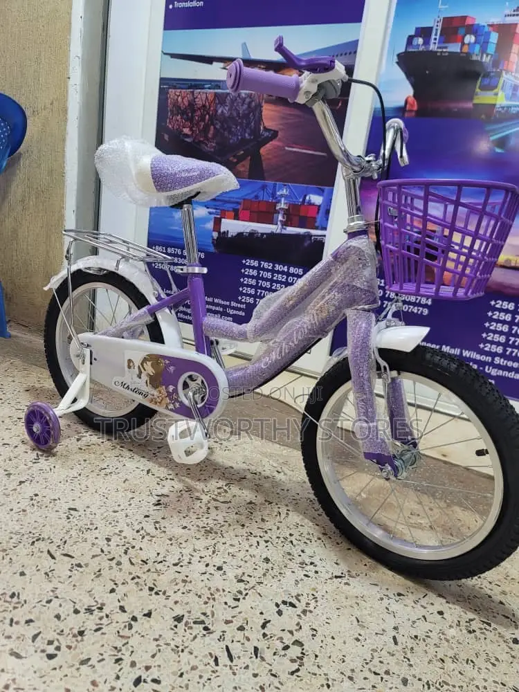 Classic Girls Bicycle With a Carrier