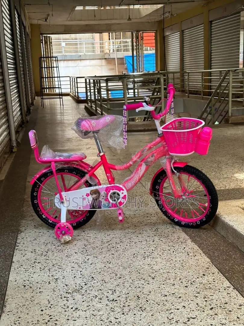 Classic Girls Bicycle With a Carrier