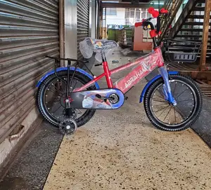 Classic Girls Bicycle With a Carrier