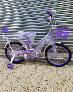 Classic Girls Bicycle With a Carrier