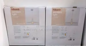 Ceiling Light
