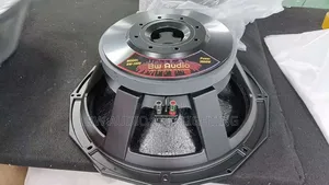 Big Magnet Bass Speaker 125 Coil 3000 Watts