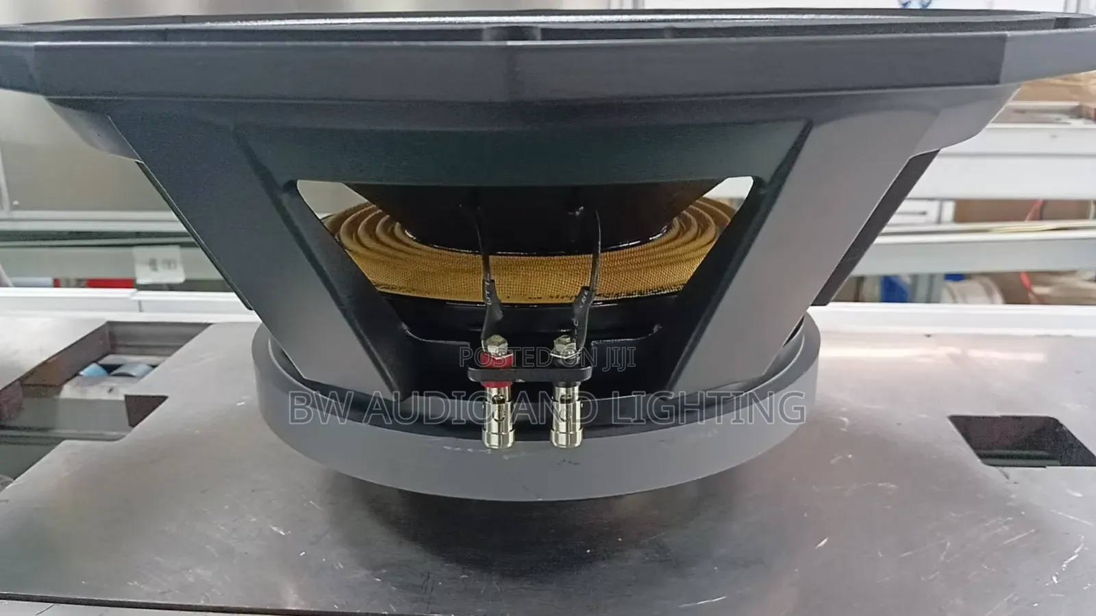 Big Magnet Bass Speaker 125 Coil 3000 Watts