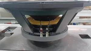 Big Magnet Bass Speaker 125 Coil 3000 Watts