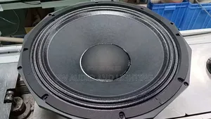 Big Magnet Bass Speaker 125 Coil 3000 Watts