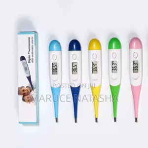 Digital Thermometer