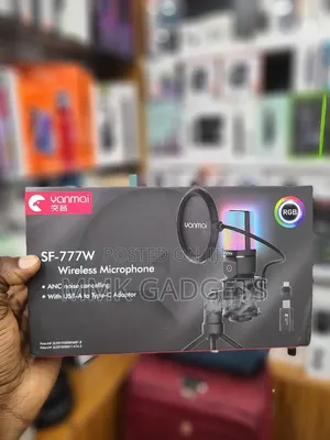 Yanmai SF 777W Wireless Microphone