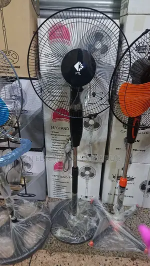 PTL Stand Fan