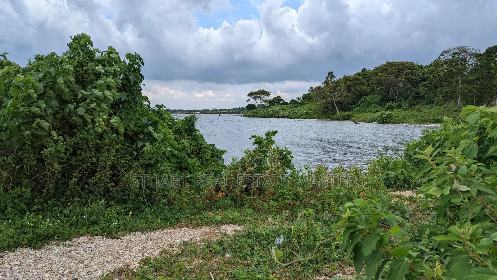 10 Acres of Water Front View for Sale