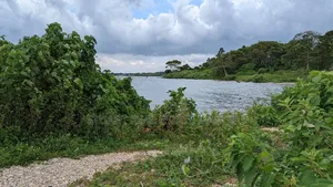 10 Acres of Water Front View for Sale