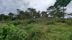 10 Acres of Water Front View for Sale