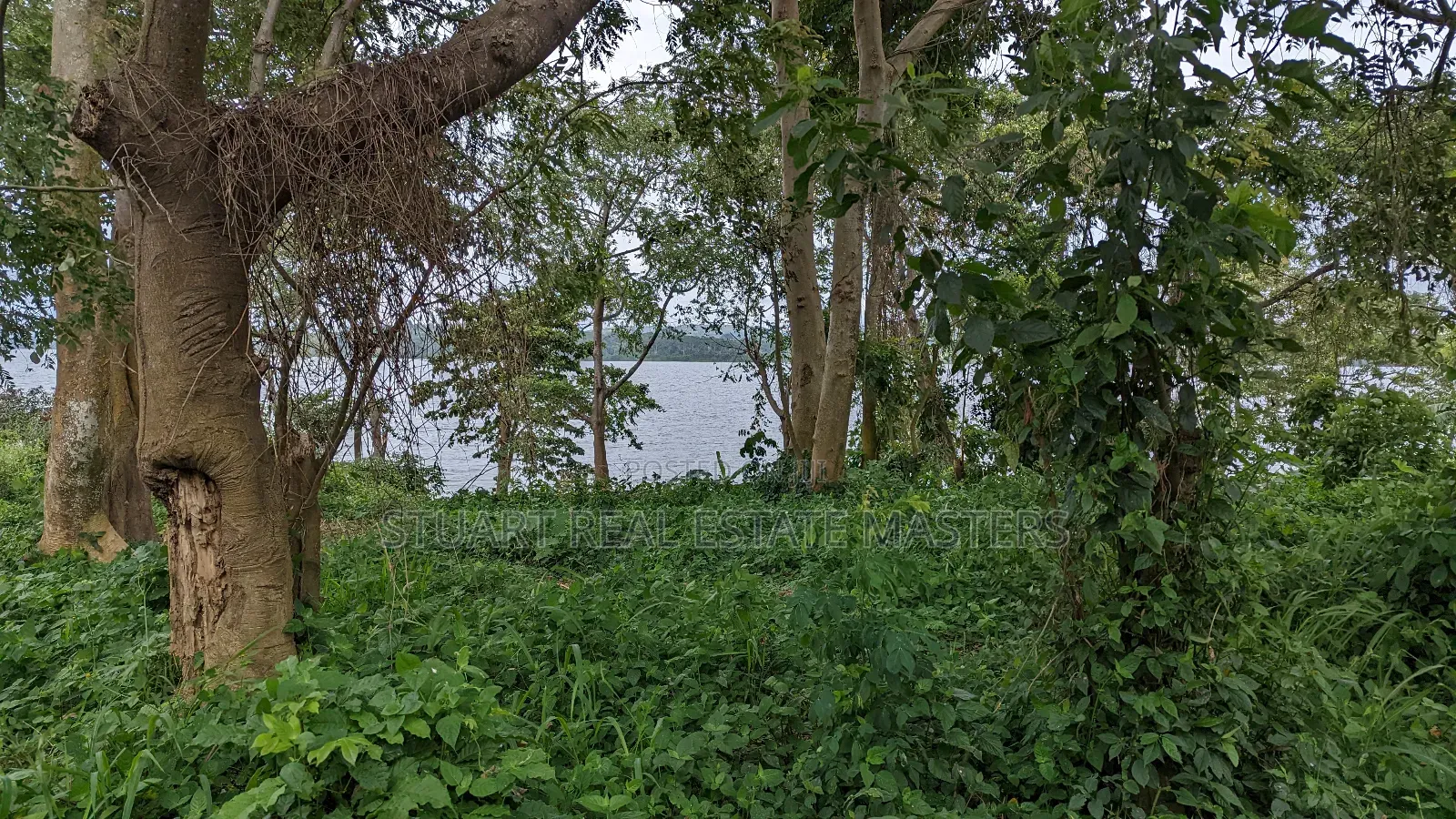 10 Acres of Water Front View for Sale