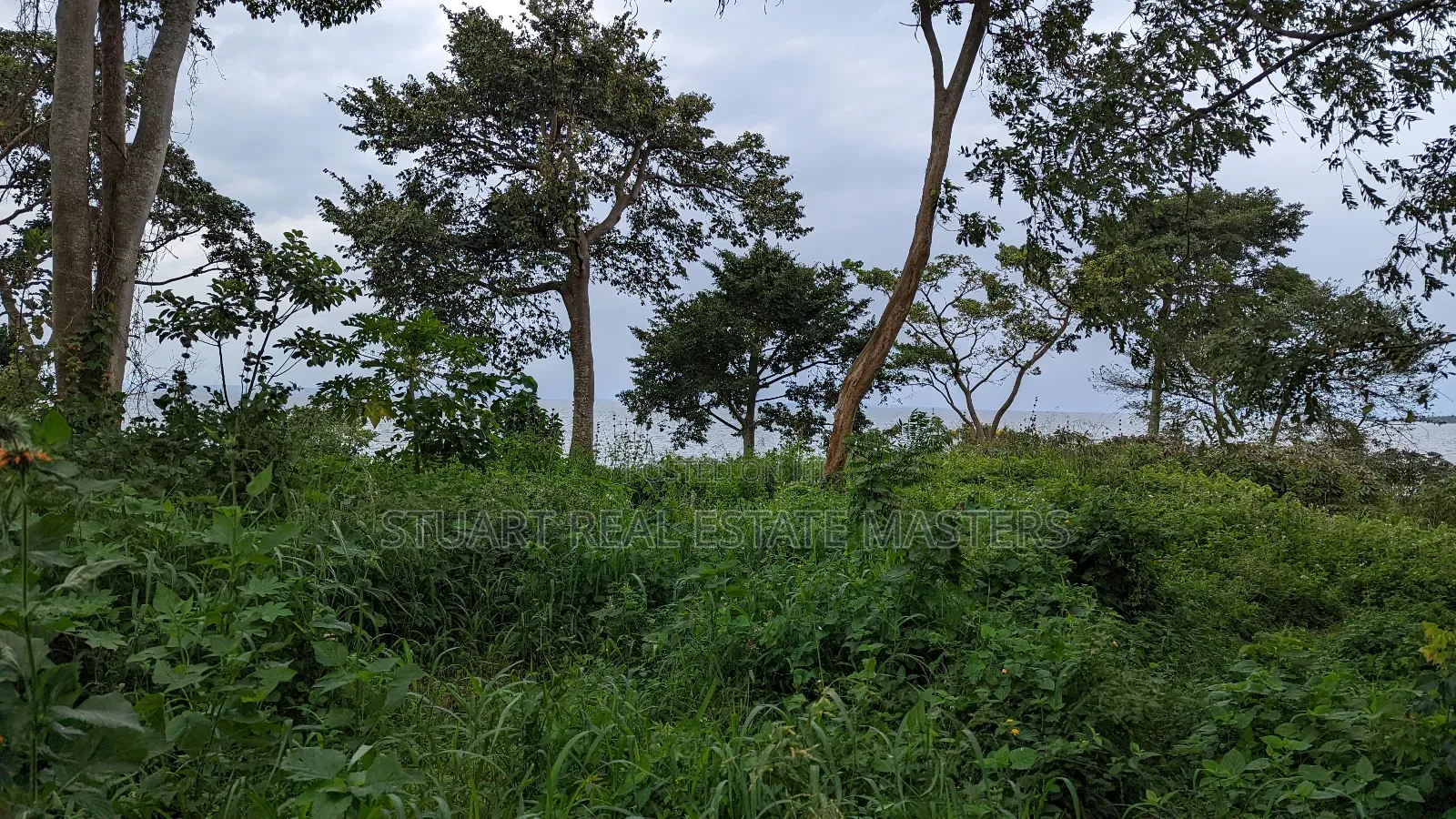 10 Acres of Water Front View for Sale
