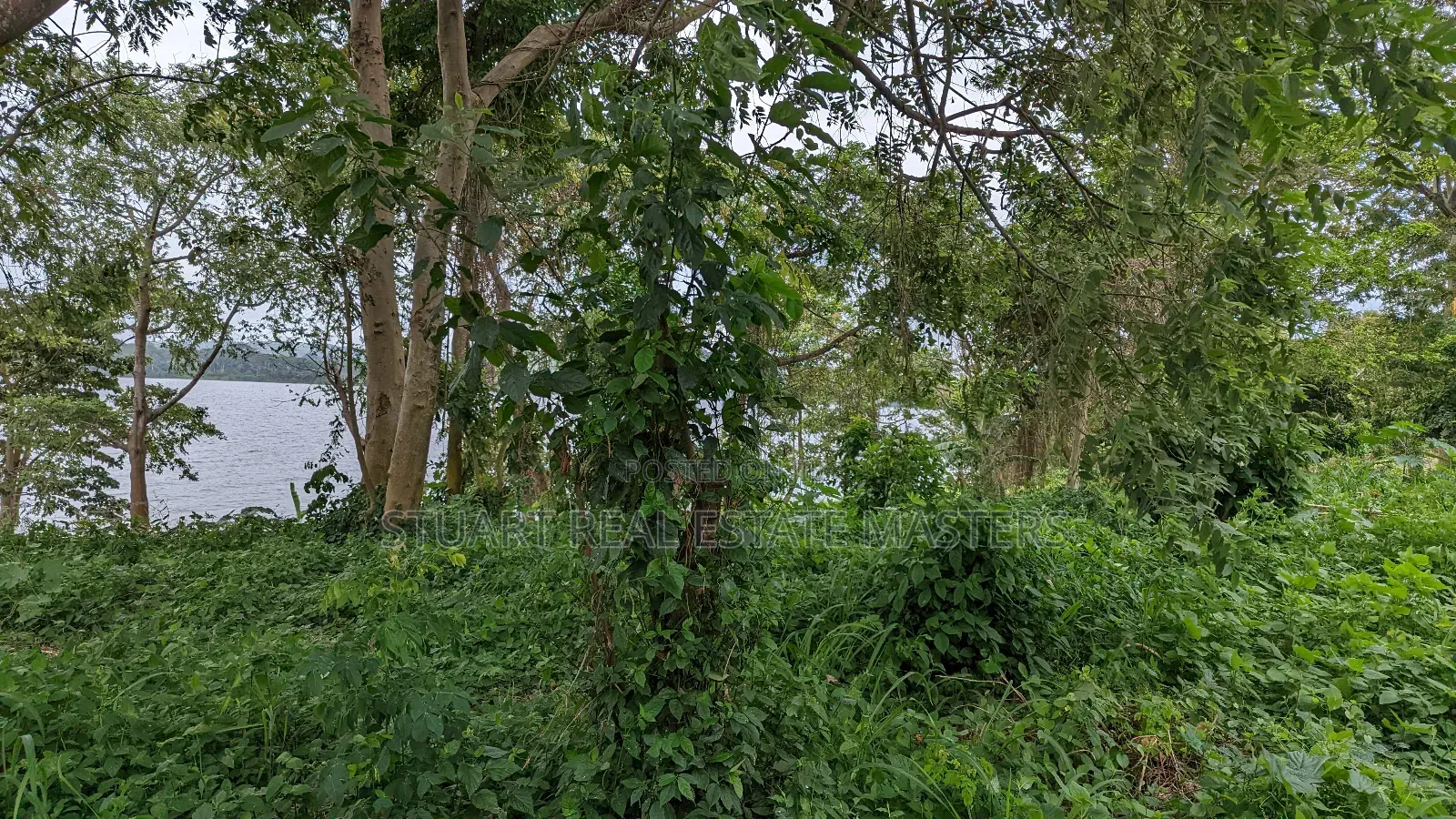 10 Acres of Water Front View for Sale