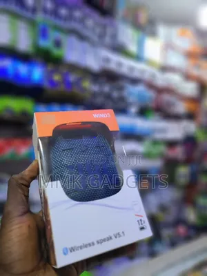 JBL Wind 3 Speaker