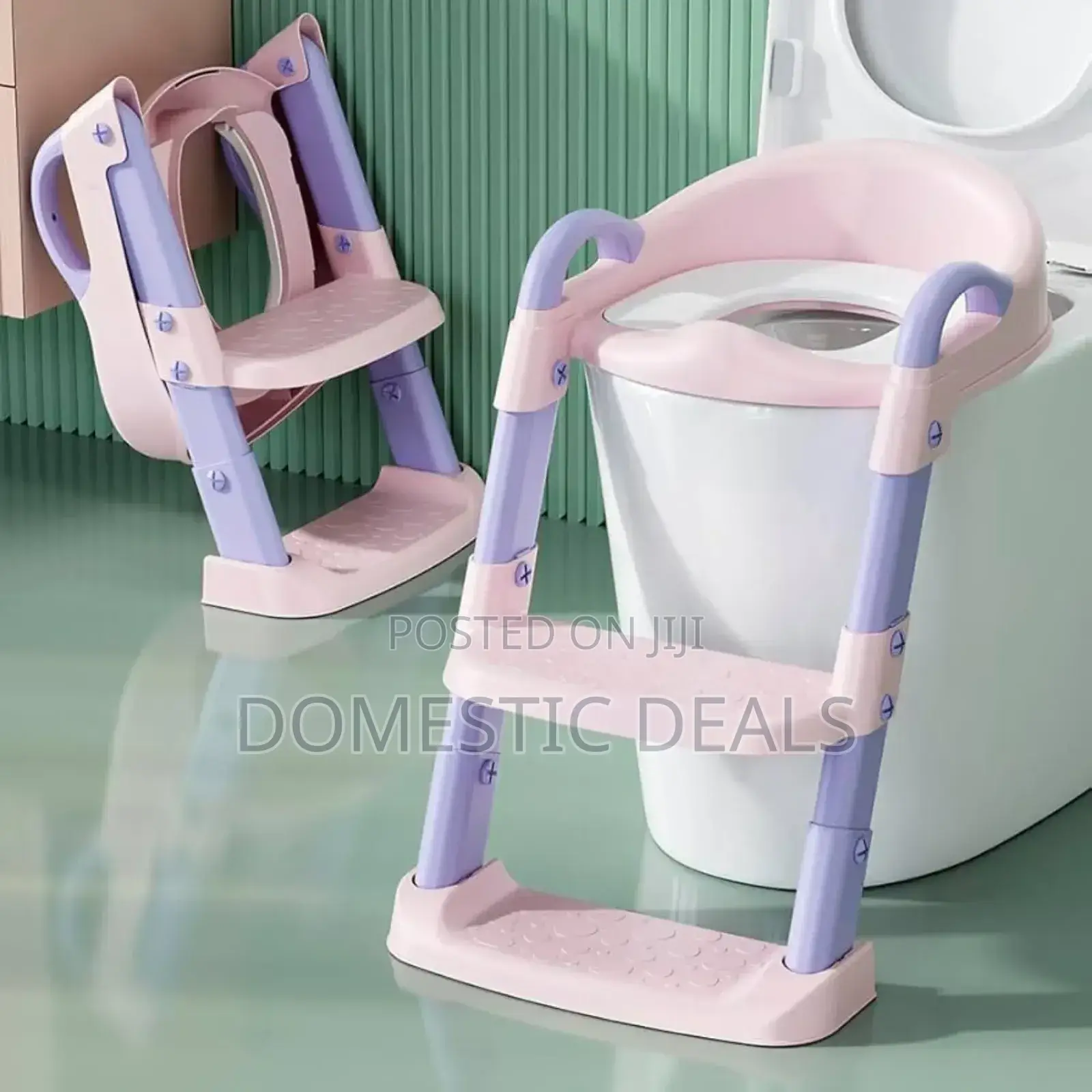 Potty Training Seat/ Toilet Ladder