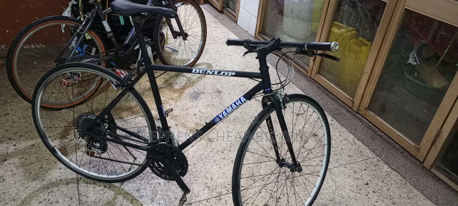 Adult Bikesss