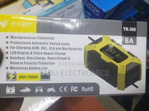 Automatic Intelligent Car Battery Charger And Solar Battery