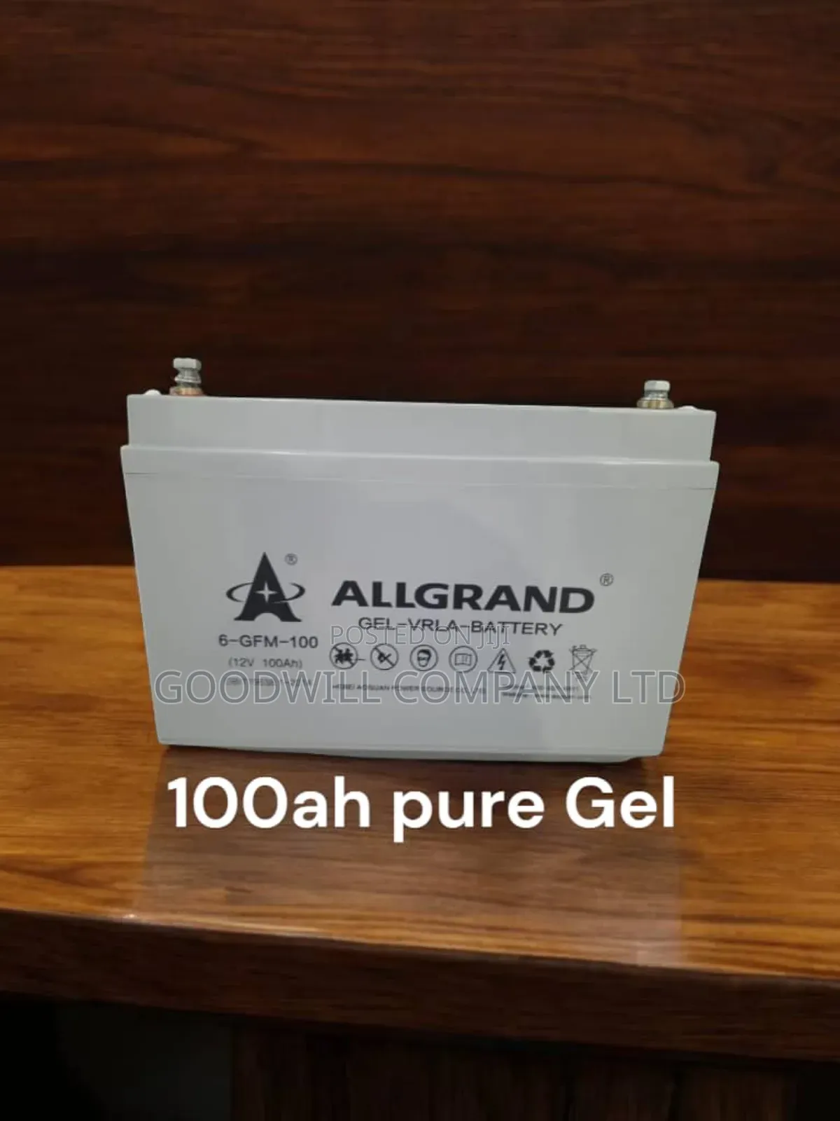 100ah Allgrand Turbo Pure Gel Battery