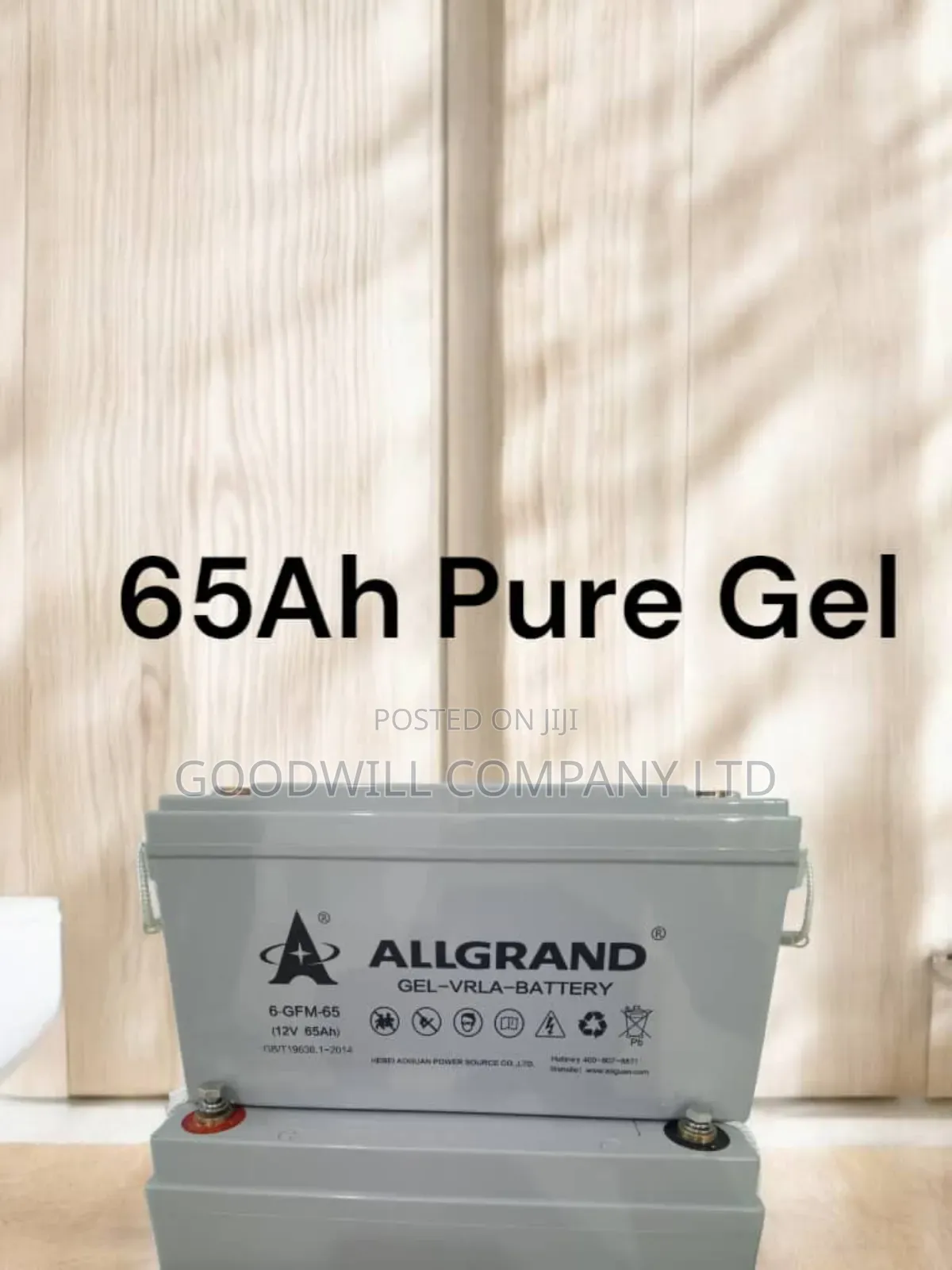 65ah Allgrand Pure Gel Battery