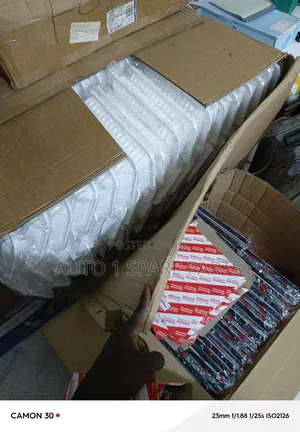 Oil Filters