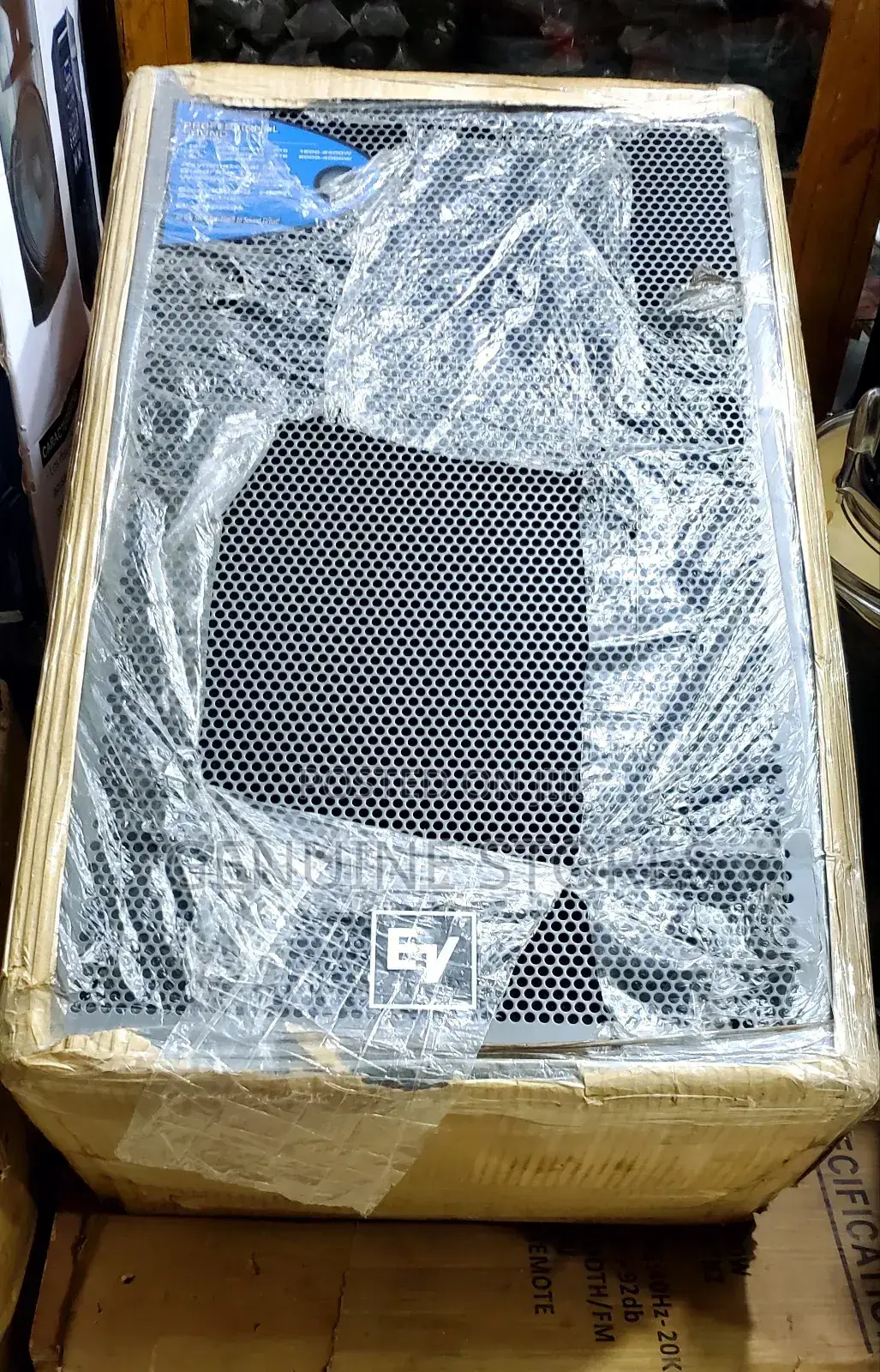 Stage Monitor Ev