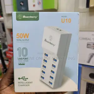 Smart Berry Travel Adaptor