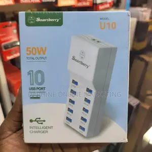 Smart Berry Travel Adaptor