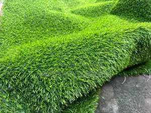 Photo - Systin Artificial Turf