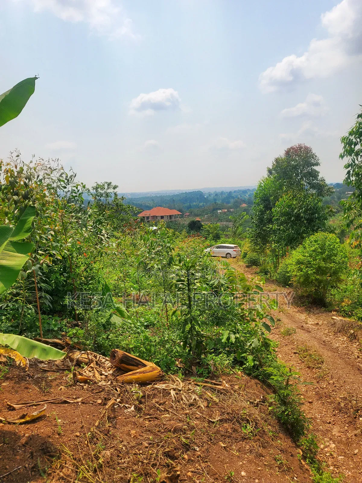 Good Plot Before Kalule With a Good View