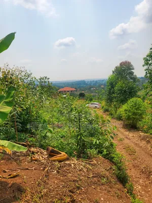 Good Plot Before Kalule With a Good View