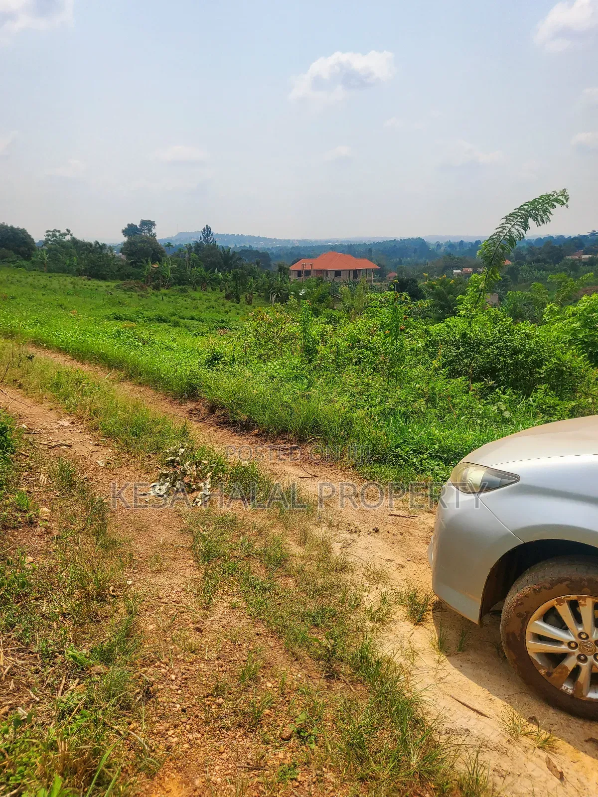 Good Plot Before Kalule With a Good View