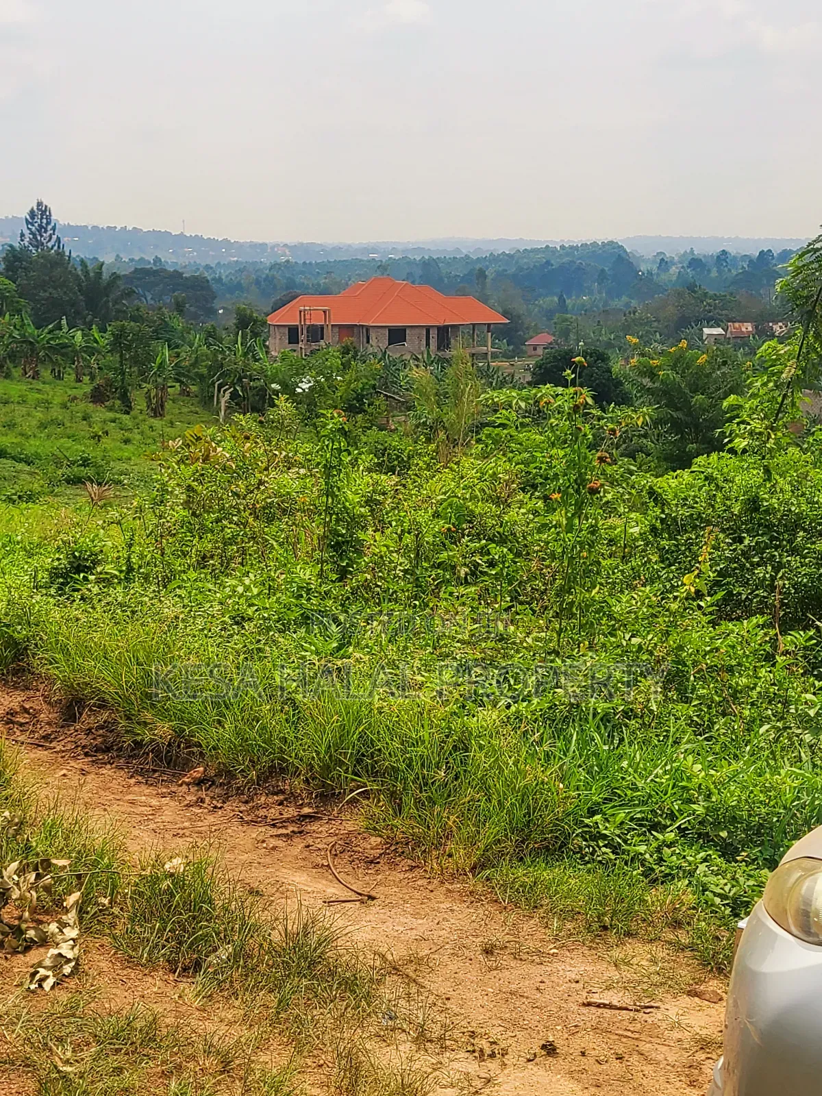 Good Plot Before Kalule With a Good View