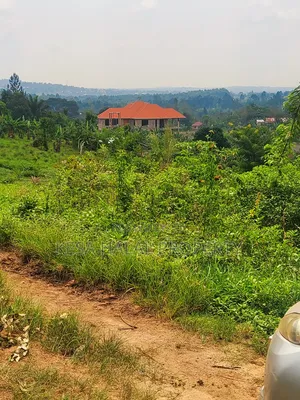 Good Plot Before Kalule With a Good View