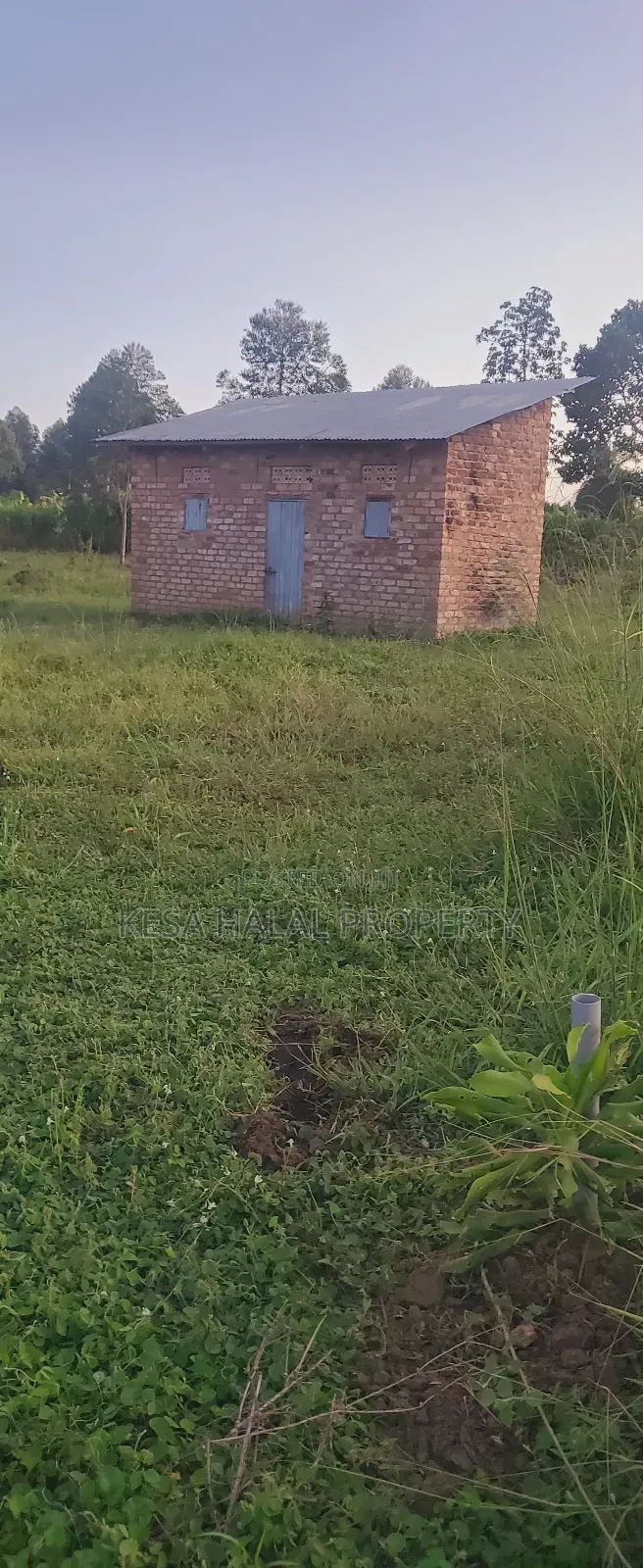 Plots in Lukaya Bulingo at 4M Per Plot 50X100