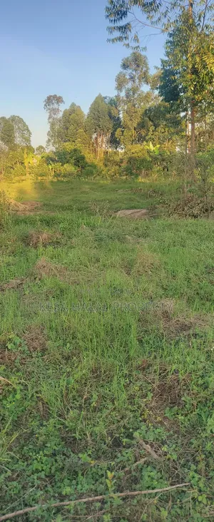 Plots in Lukaya Bulingo at 4M Per Plot 50X100