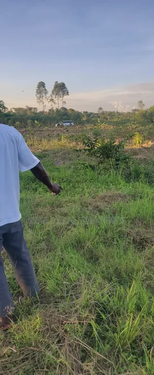 Plots in Lukaya Bulingo at 4M Per Plot 50X100
