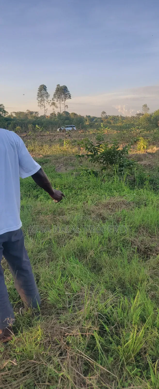 Plots in Lukaya Bulingo at 4M Per Plot 50X100
