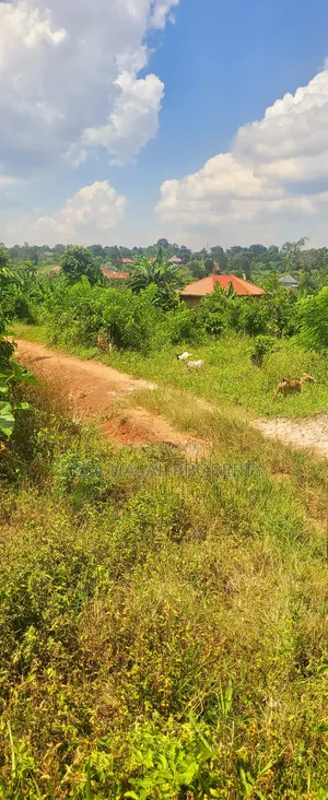 Good View Plots 50X100 Before Bombo at 9M