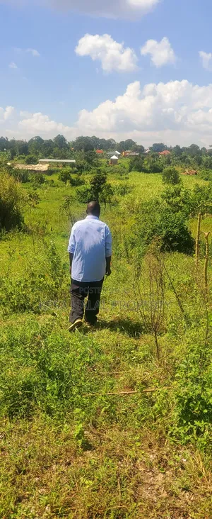 Good View Plots 50X100 Before Bombo at 9M