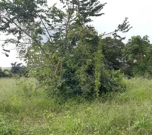Grab a Plot at 8m Near Kajansi- Seguku-Katale