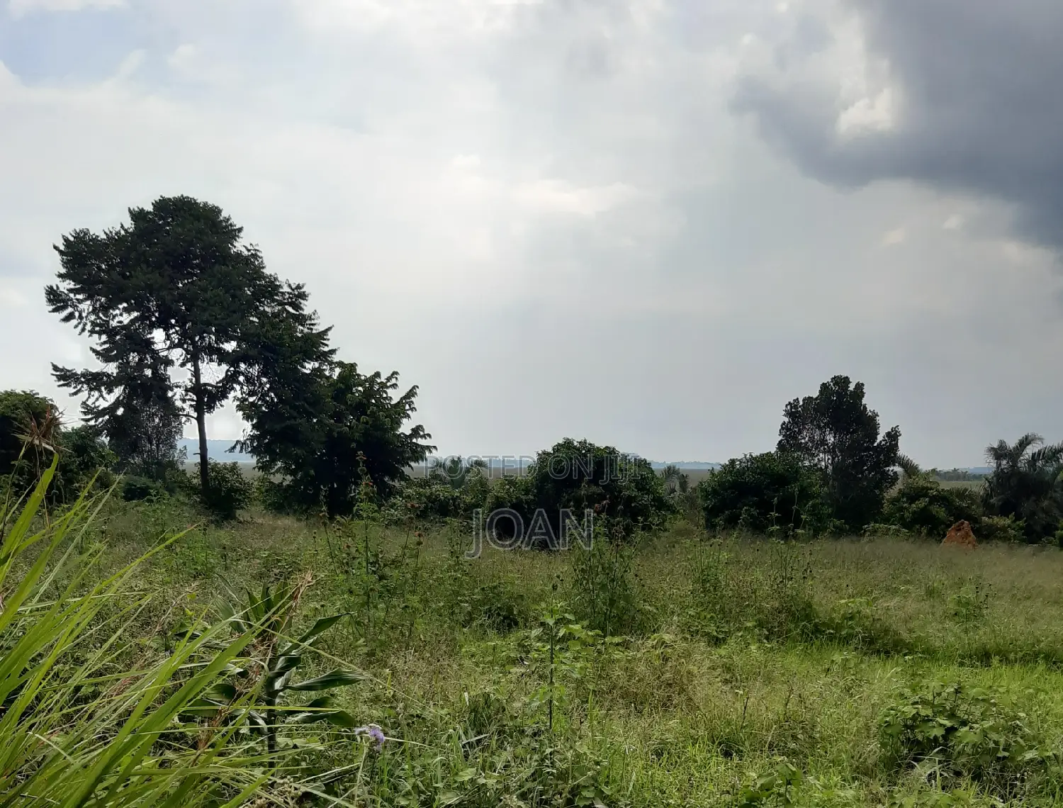 Grab a Plot at 8m Near Kajansi- Seguku-Katale