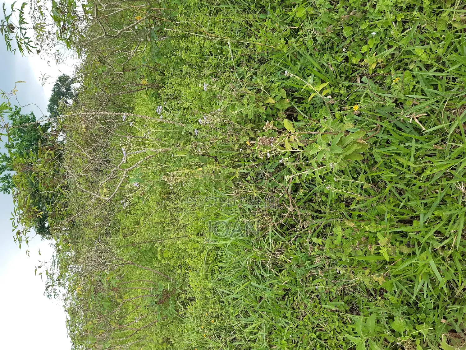 An Acre at 30m in Nkozi, Mpigi, Masaka Road