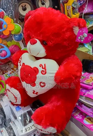 Alicia's Teddy Bear