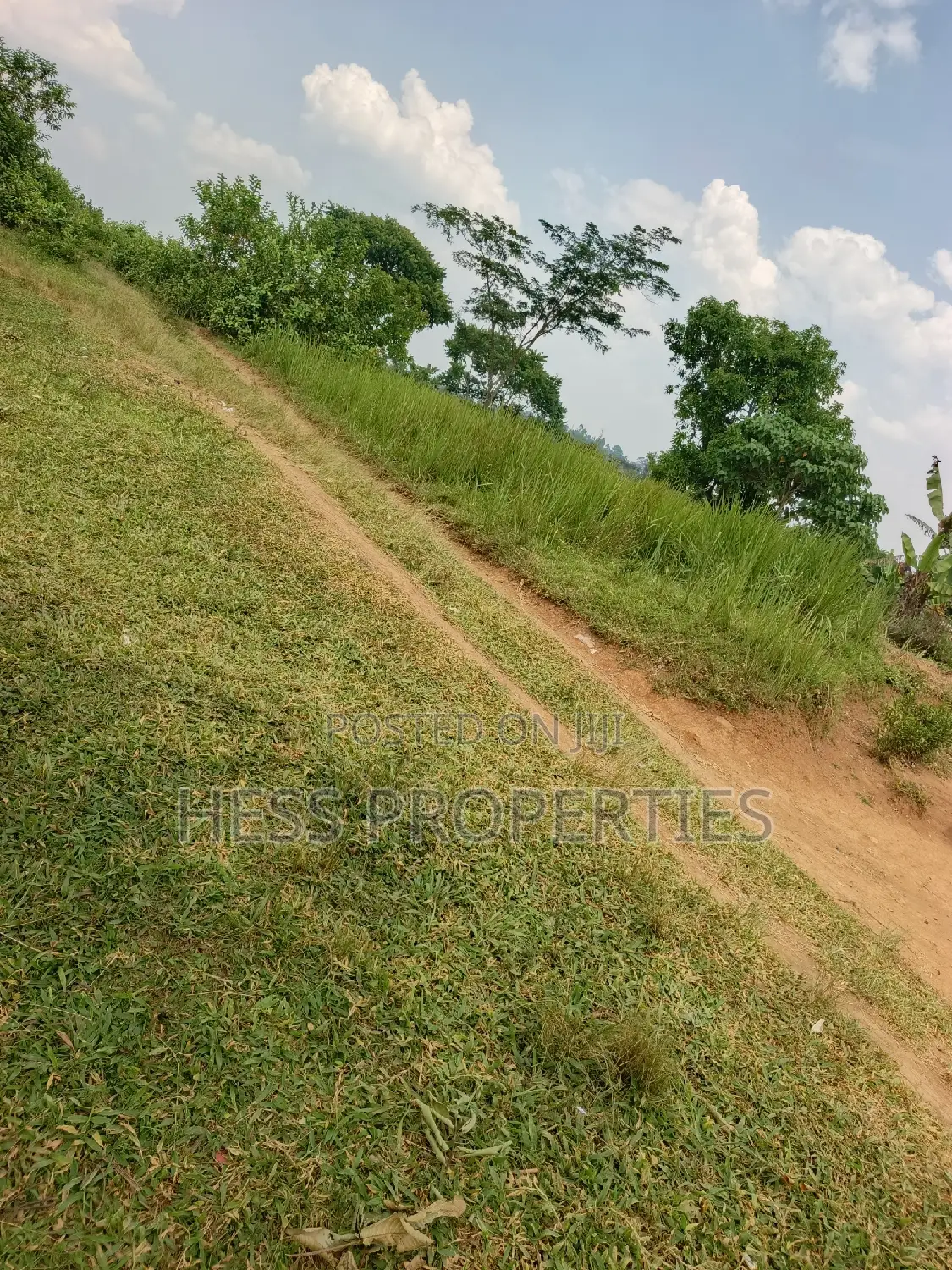 Agricultural Land on Sale