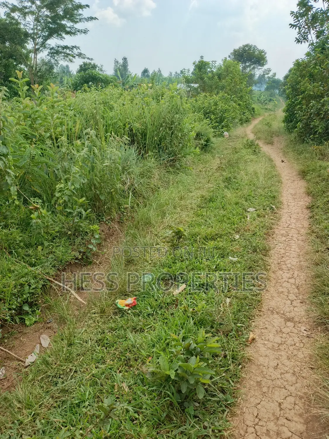 Agricultural Land on Sale
